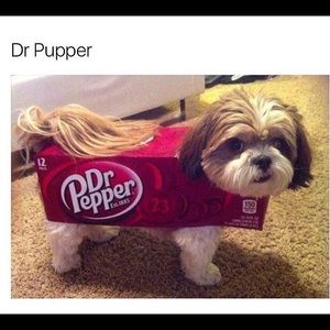 Meet your Posher, Jorge