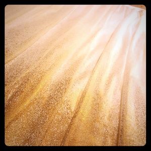 Whimsical Tulle Skirt