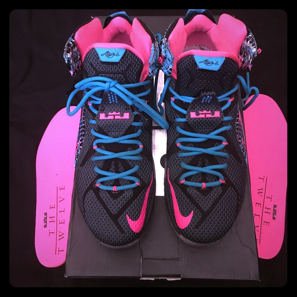 Lebron 12s