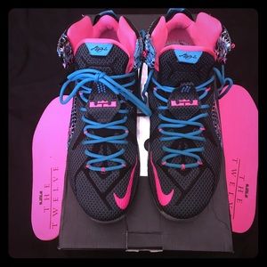 Lebron 12s