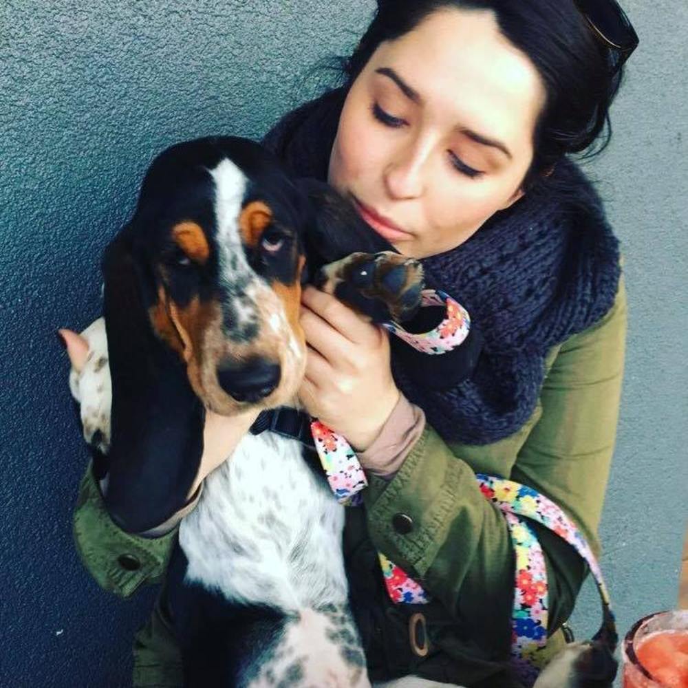 Meet your Posher, Harley