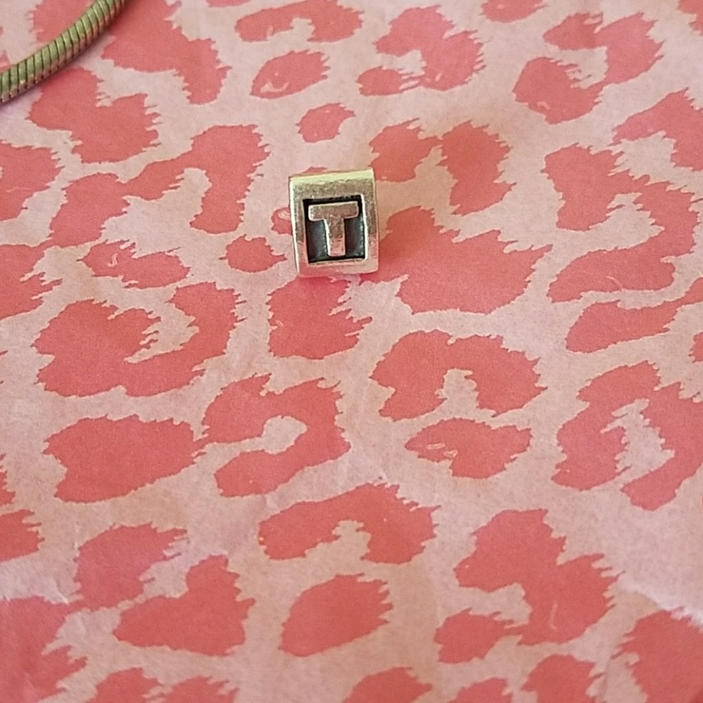 Pandora Charm