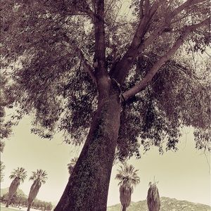 Meet your Posher, Bethanie