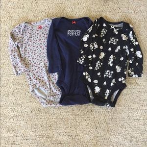 Baby Girl Long Sleeve Onesies Lot