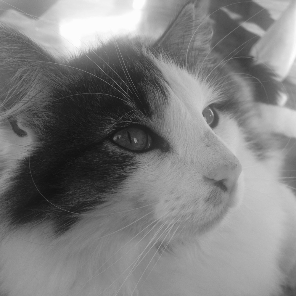 Meet your Posher, Gabrielle