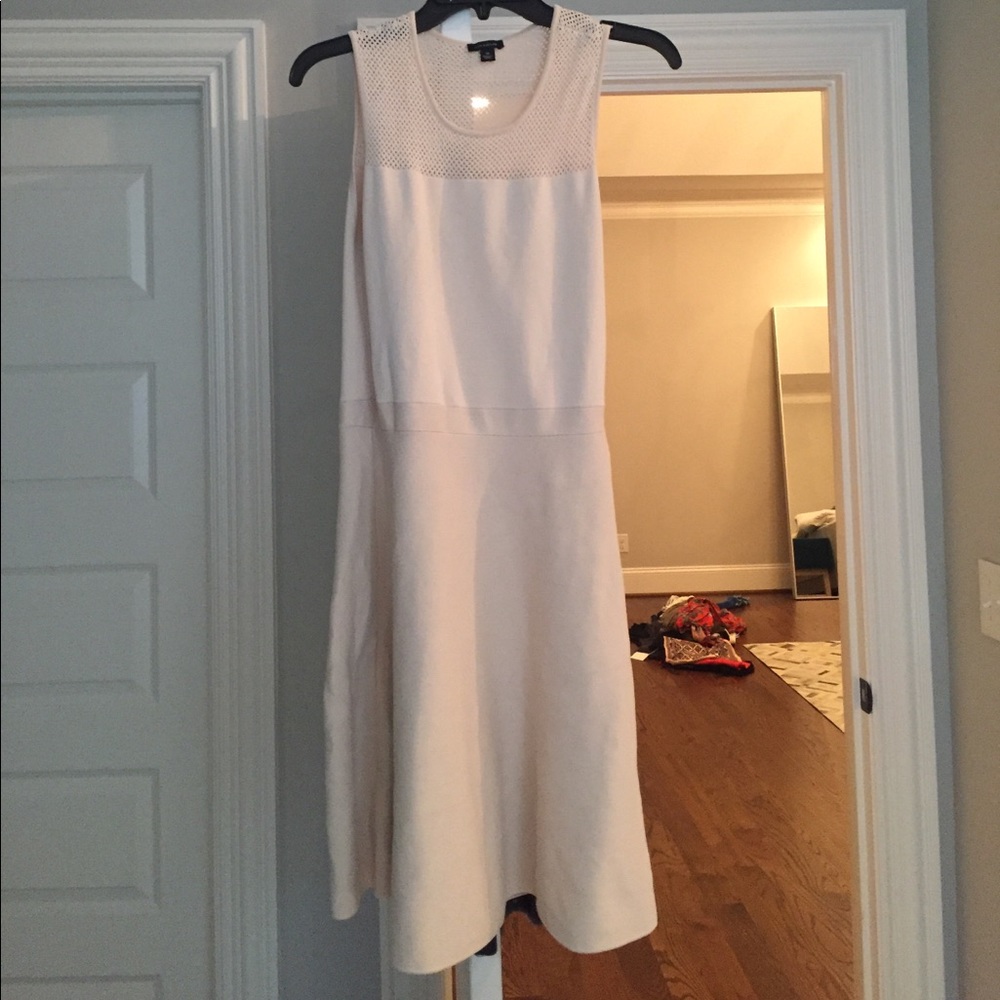 Ann Taylor Beige Dress
