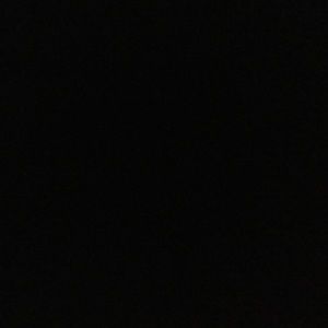 Meet your Posher, Sophie