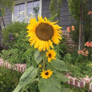 Meet your Posher, Karina