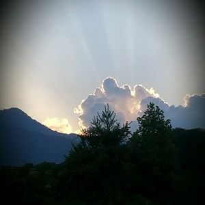 Meet your Posher, Jodi