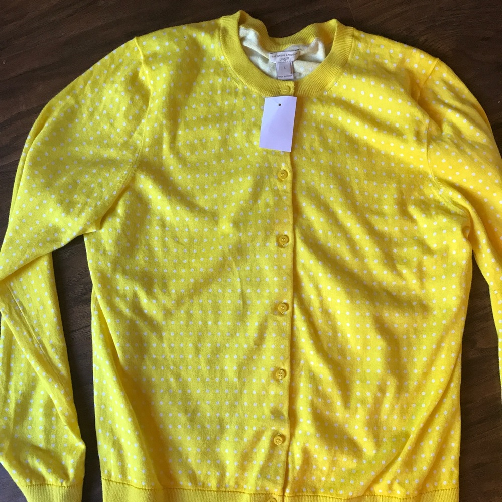 J Crew Sweater Set