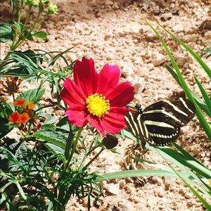 Meet your Posher, Renee