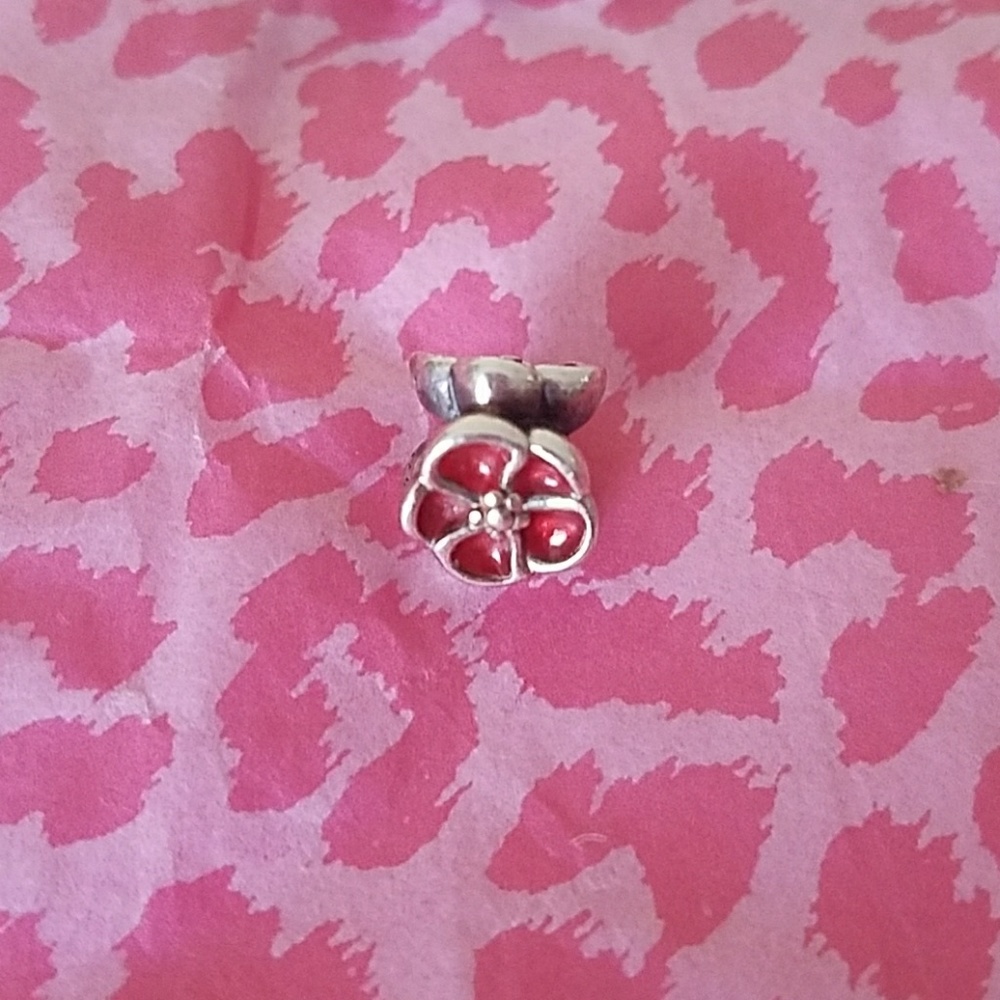 Pandora Charm