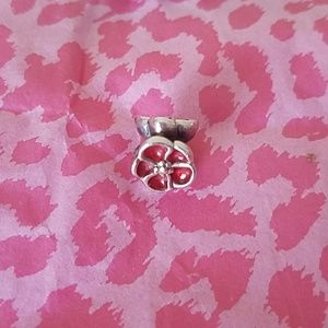 Pandora Charm