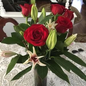 Meet your Posher, Amparo