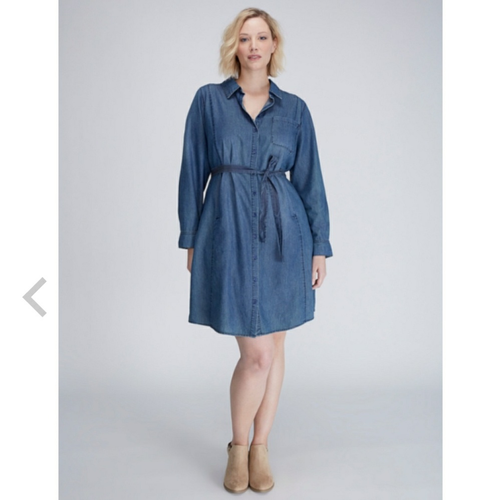 Denim shirt dress