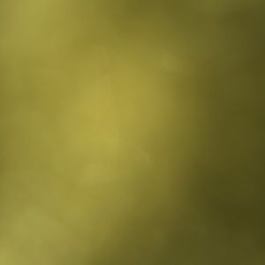 Meet your Posher, Deja