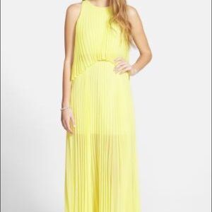 BCBG Shaina long formal maxi dress