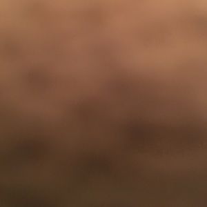 Meet your Posher, Katrina