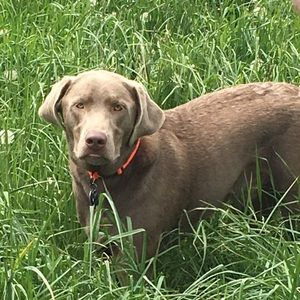 Meet your Posher, Claire