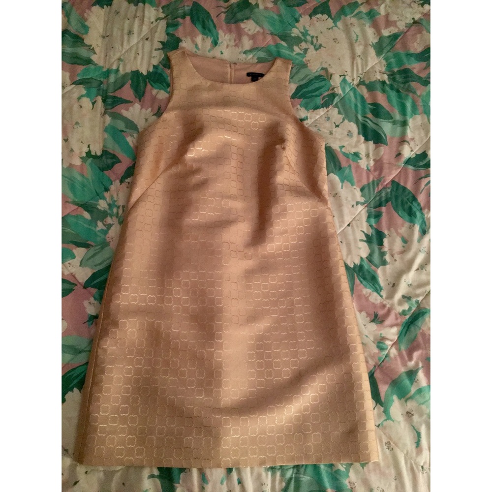 BNWOT Ann Taylor Dress