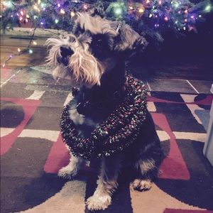 Meet your Posher, Rose