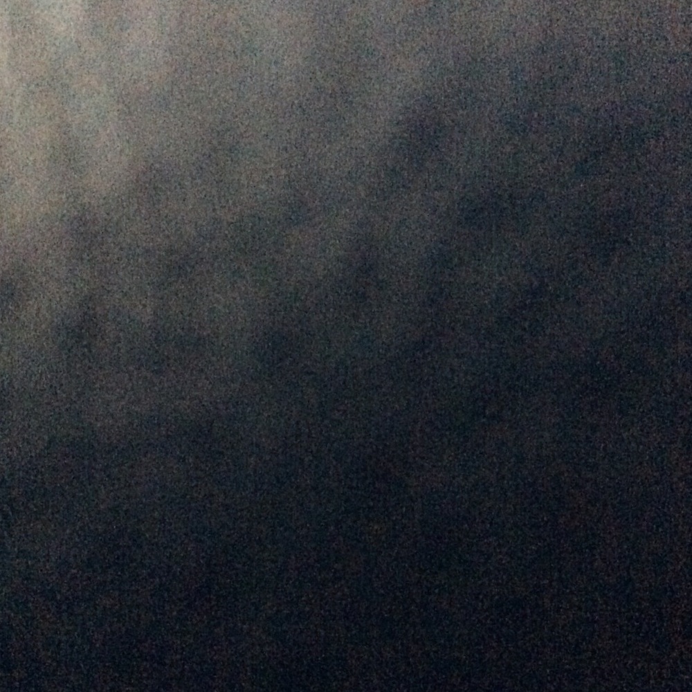 Meet your Posher, Ann