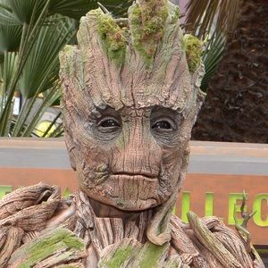 Meet your Posher, James