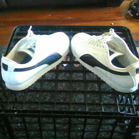 Puma - Picture 1 of 4