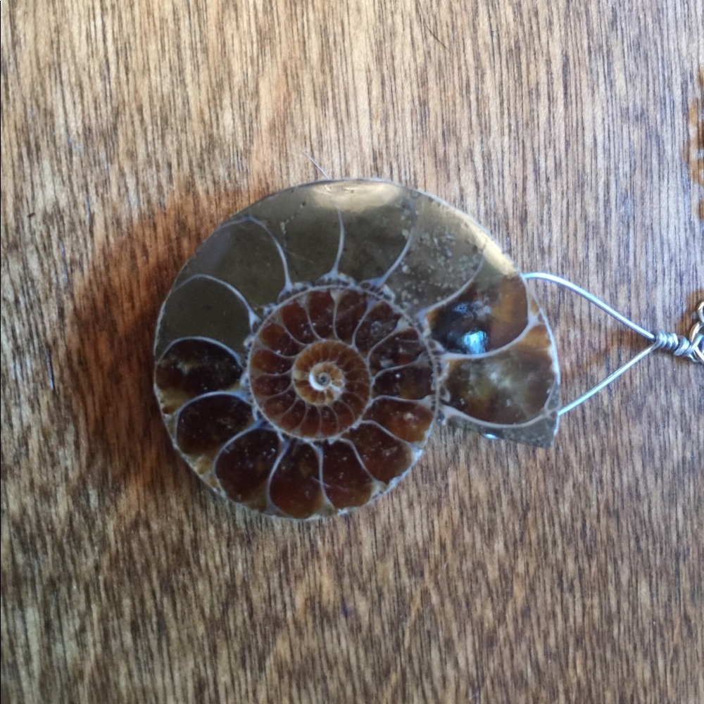 Ammonite necklace.