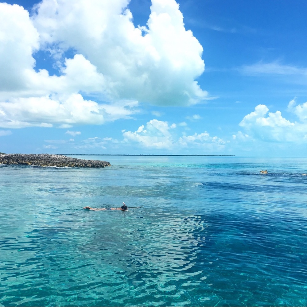 Meet your Posher, Katrina