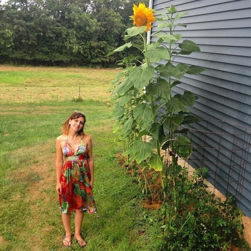 silky paisley backless sundress