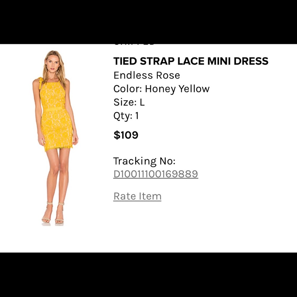 Endless Rose Lace Mini Dress