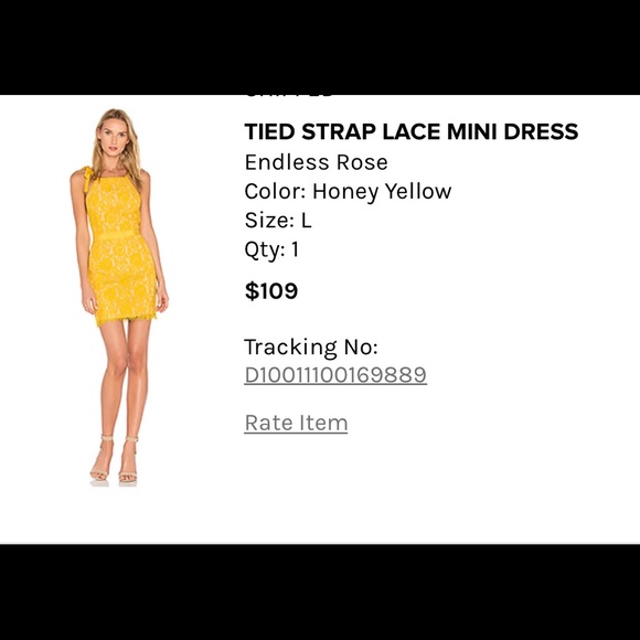 Endless Rose Lace Mini Dress