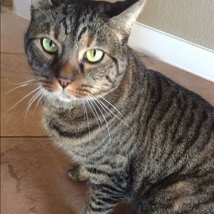 Meet your Posher, Blair