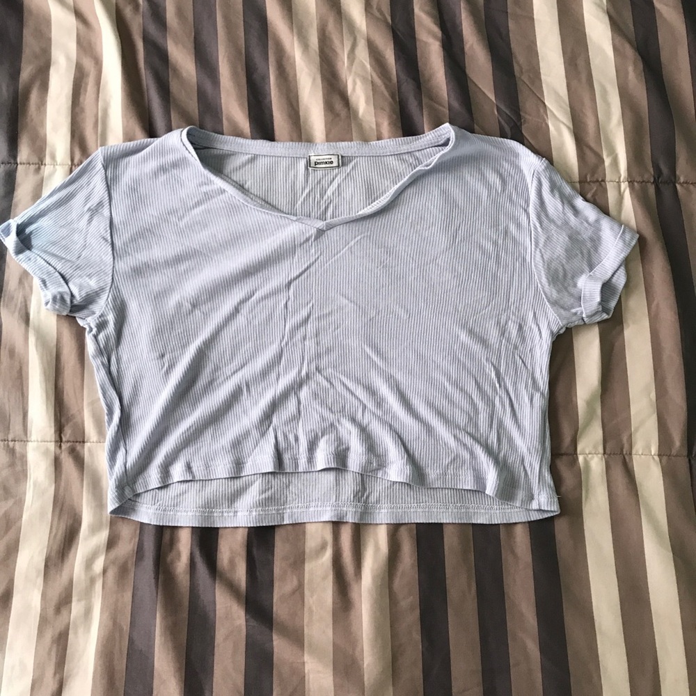 Baby blue cropped top