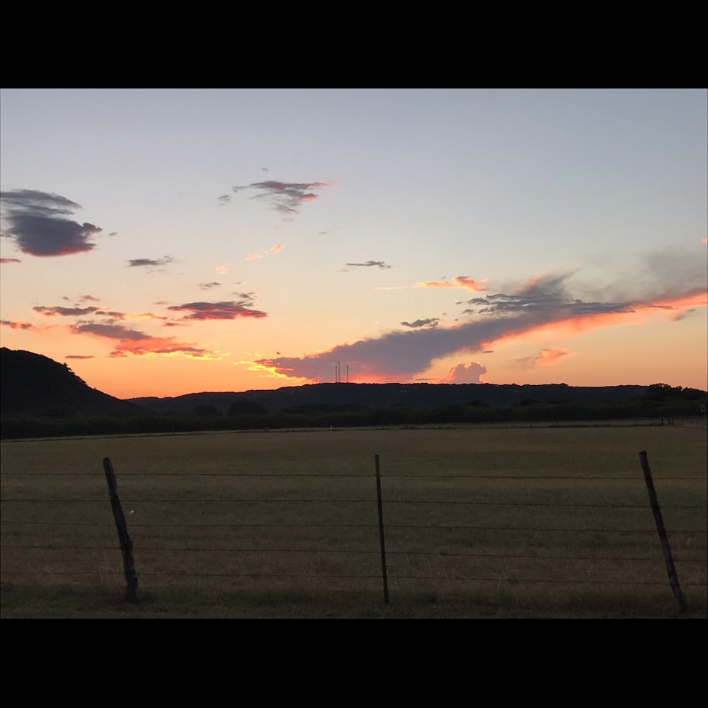 Meet your Posher, Misty