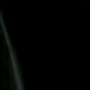 Meet your Posher, Carla