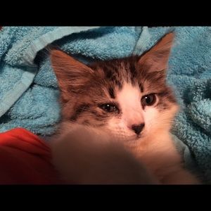 Meet your Posher, Charlotte