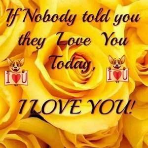 Meet your Posher, Maxine