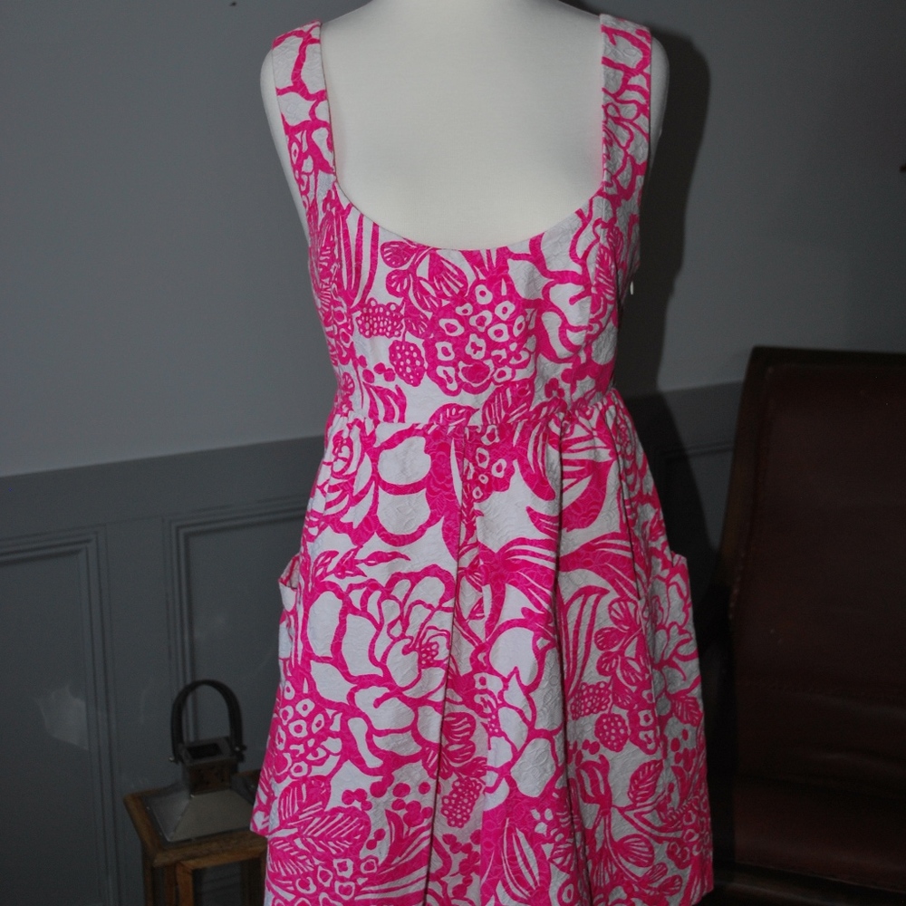 Anthropologie Vanessa Virginia Pink Floral Dress