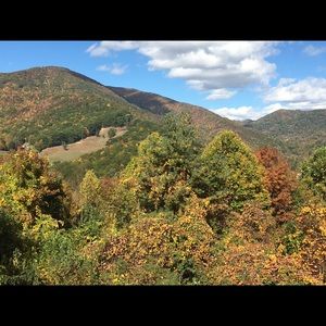 Meet your Posher, Sasha