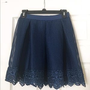 New, Never Worn Francesca's Navy Skirt