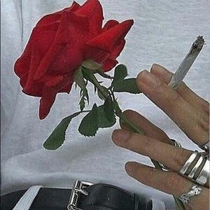 Meet your Posher, Paola