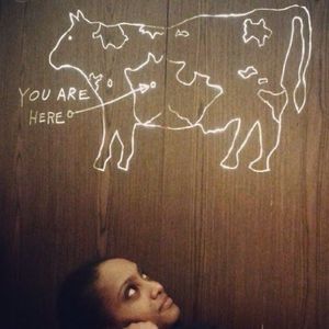 Meet your Posher, Seme