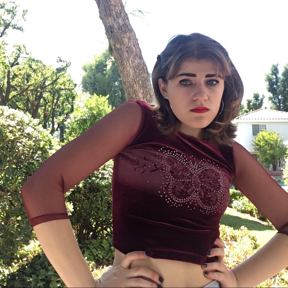 SOLD 90s mesh sleeved velvet butterfly top