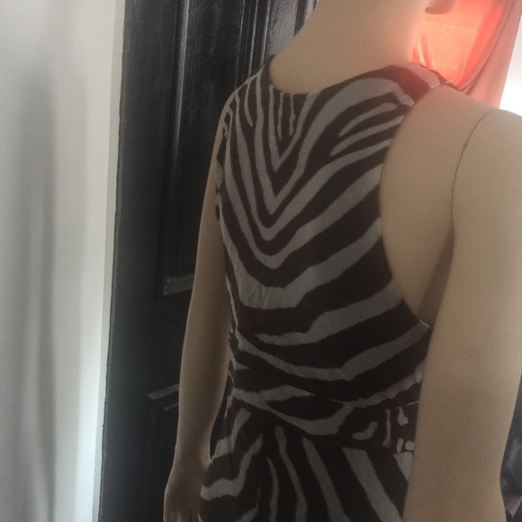 Anthropologie Weston Wear Zebra Animal Maxi Dress - Picture 5 of 8