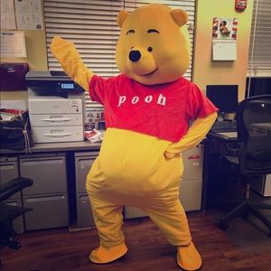 Winnie the Pooh costume . Model is a 5'4" female