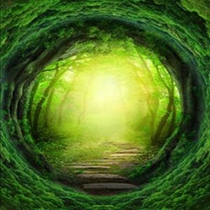 Meet your Posher, Cyndee