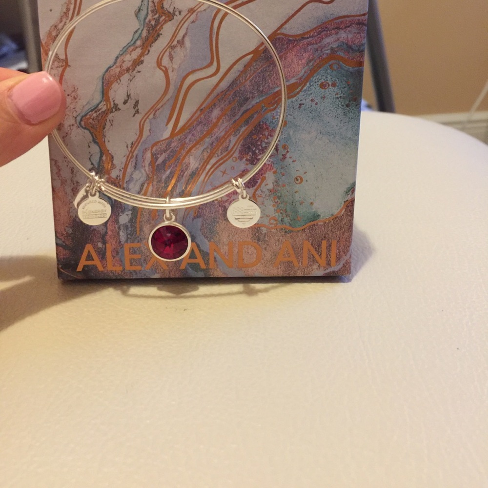 Alex and Ani January Birthstone Bracelet