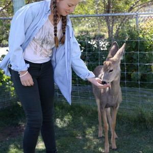 Meet your Posher, Anna